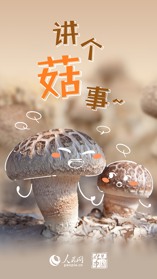 意昂注册：好品中国｜超级“蘑”力 不可“菇”量